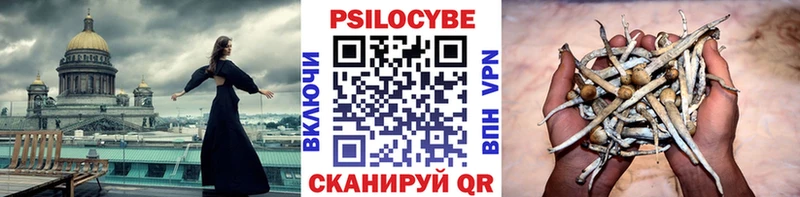 где купить   Благодарный  Псилоцибиновые грибы мухоморы 